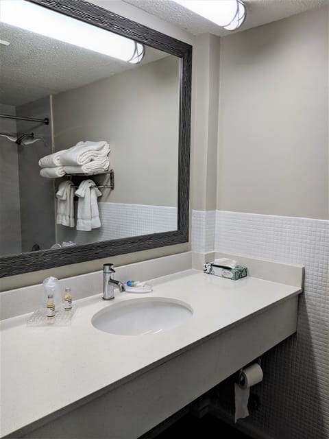 Combined shower/tub, free toiletries, hair dryer, towels