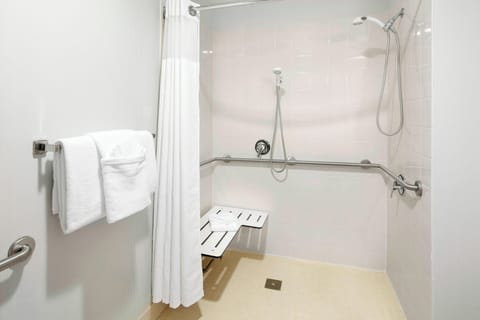 Combined shower/tub, free toiletries, hair dryer, towels