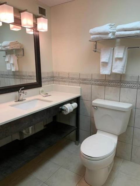 Combined shower/tub, free toiletries, hair dryer, towels