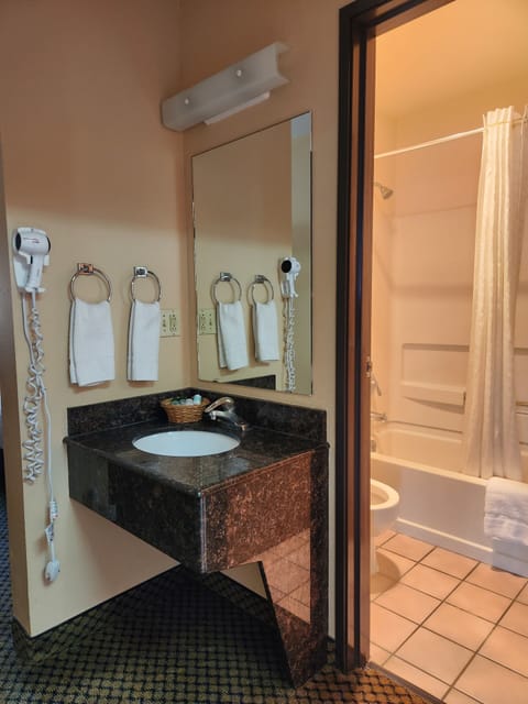 Combined shower/tub, free toiletries, hair dryer, towels