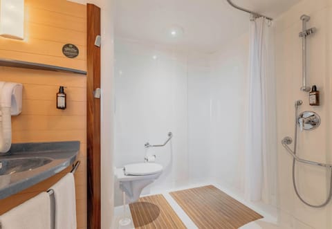 Triple Room, Mobility Accessible, Non Smoking | Bathroom | Separate tub and shower, hair dryer, towels