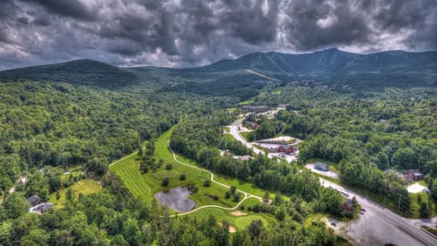 Studio | Aerial view