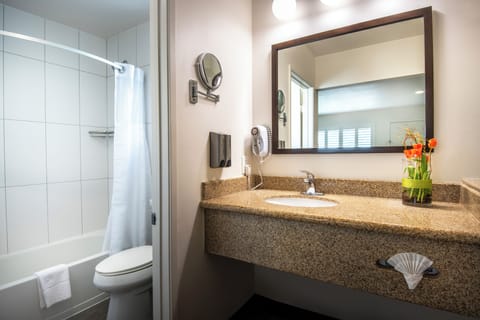 Combined shower/tub, eco-friendly toiletries, hair dryer, towels