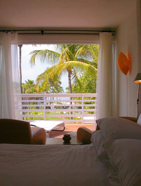 Jungles Suite | View from room