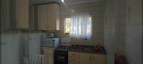 Basic Apartment | Private kitchen | Fridge, microwave, oven, cookware/dishes/utensils