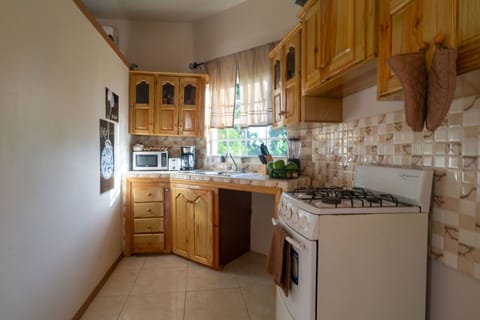 Studio | Private kitchen | Full-size fridge, microwave, oven, stovetop