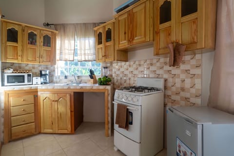 Studio | Private kitchen | Full-size fridge, microwave, oven, stovetop