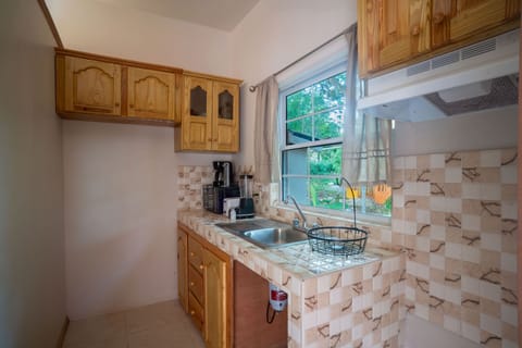 Studio | Private kitchen | Full-size fridge, microwave, oven, stovetop