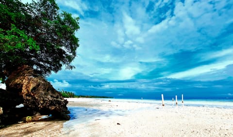 Beach nearby, white sand