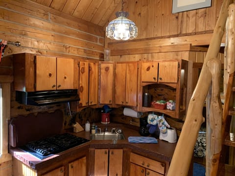 Peacefull Cabin #6 on the Kenai River | Private kitchen | Full-size fridge, microwave, stovetop, coffee/tea maker