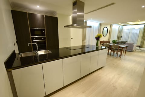 Deluxe Apartment | Private kitchen | Fridge, microwave, oven, stovetop