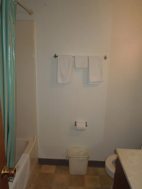 Combined shower/tub, free toiletries, hair dryer, towels