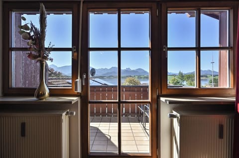 Panoramic Apartment | View from room