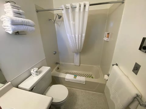 Standard Double Room, 1 Double Bed, Non Smoking | Bathroom | Hair dryer, towels, soap, shampoo