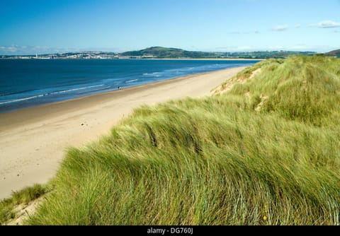 Apartment | Beach