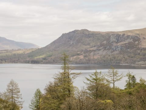 Cottage | Miscellaneous