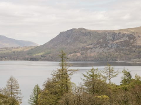 Cottage | Miscellaneous