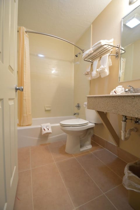 Combined shower/tub, hair dryer, towels