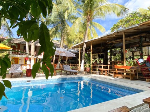 Outdoor pool, sun loungers