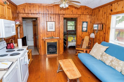 The Clear View Cottage | Living area | 44-inch flat-screen TV with cable channels, TV