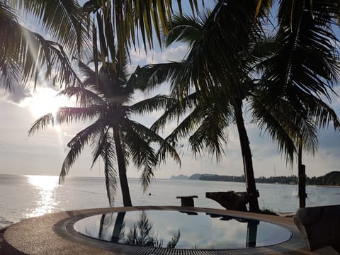 Outdoor pool, sun loungers