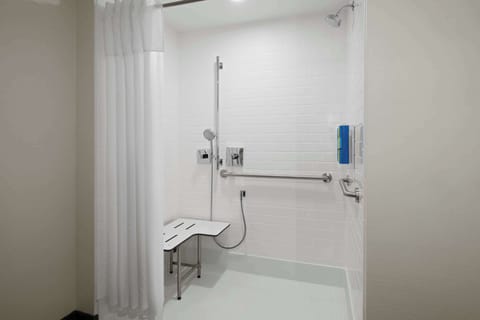 Room, 1 King Bed, Accessible (Roll-In Shower) | Bathroom shower