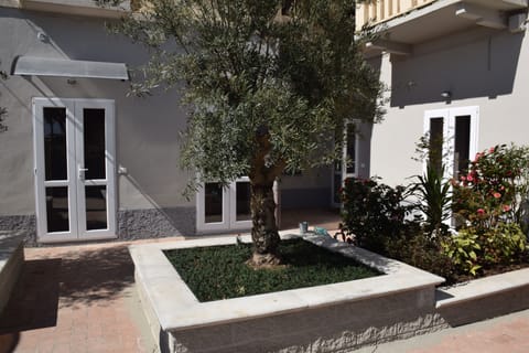 Basic Room | Terrace/patio