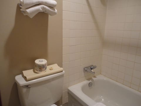 Combined shower/tub, hair dryer, towels