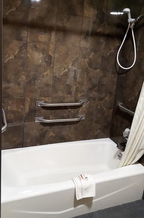 Room, Accessible | Bathroom shower