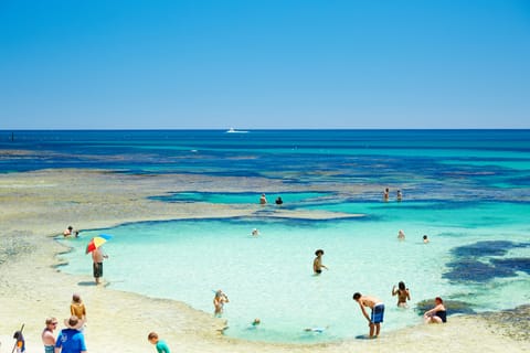 Beach nearby, white sand, 2 beach bars, fishing