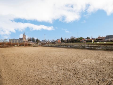 House | Miscellaneous