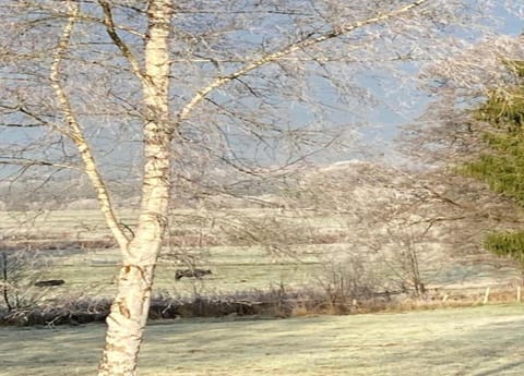 Apartment | View from property