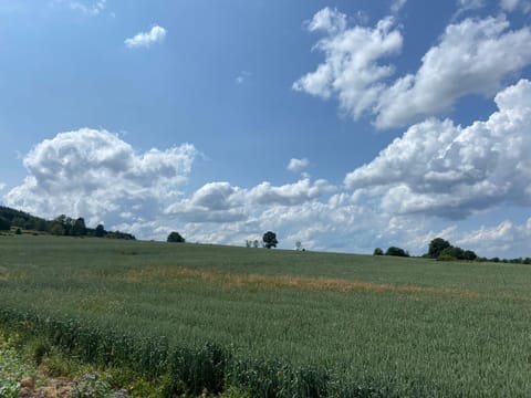 House | View from property