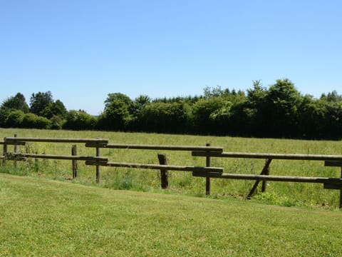 House | View from property