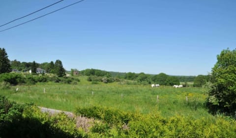 House | View from property