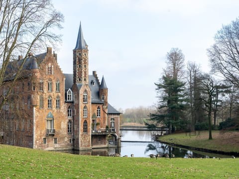 House | View from property