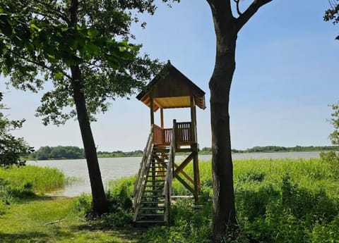 Apartment | View from property