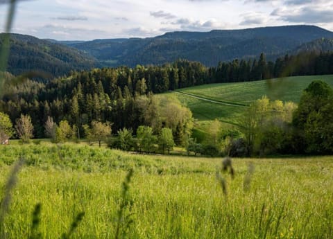 House | View from property