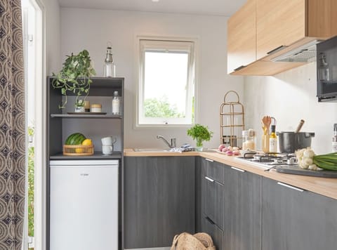 Fridge, microwave, stovetop, cookware/dishes/utensils