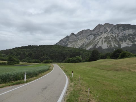 House | View from property