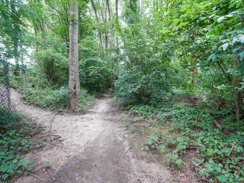 House | View from property