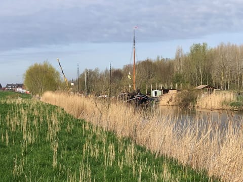 House | View from property