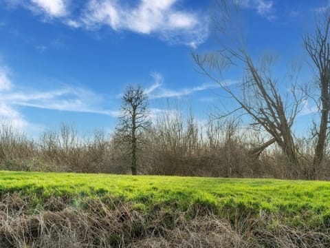 Villa | View from property