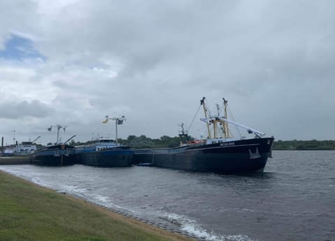 House | View from property