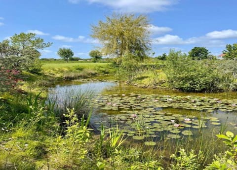 House | View from property