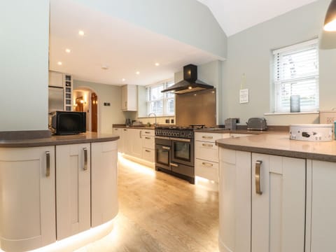 Fridge, dishwasher, electric kettle, toaster