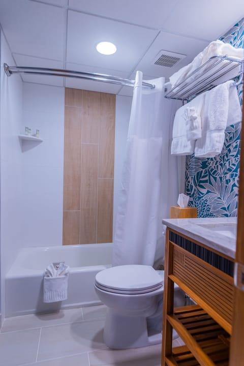 Combined shower/tub, hair dryer, towels, soap