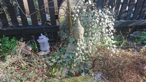 Cottage | Property grounds