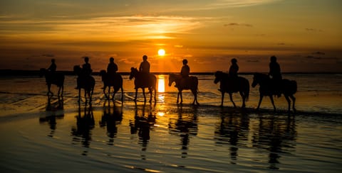 Horseback riding