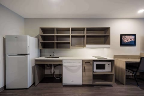 Full-size fridge, microwave, stovetop